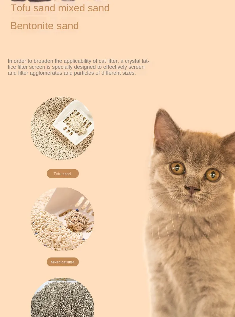Mini Cave Litter Box with WiFi