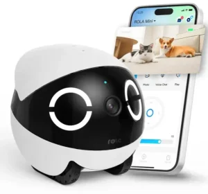 How Do Pet Cameras Work