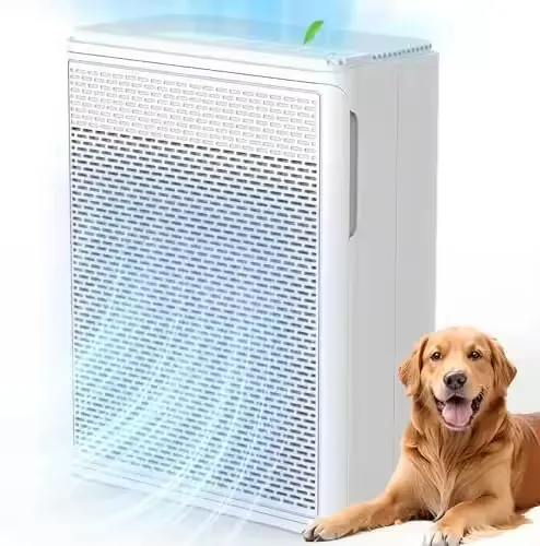 Best Smart Air Purifier for Pets