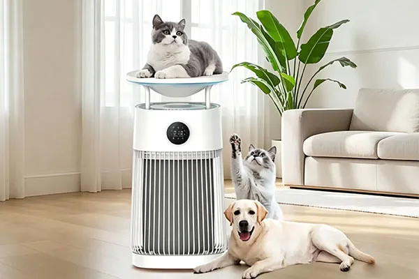 smart pet care innovations