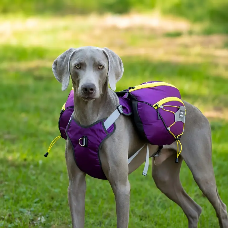 dog saddle backpack harness